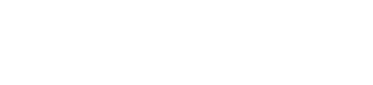 Wellspring logo